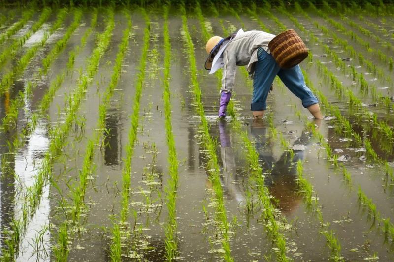 Agriculture
